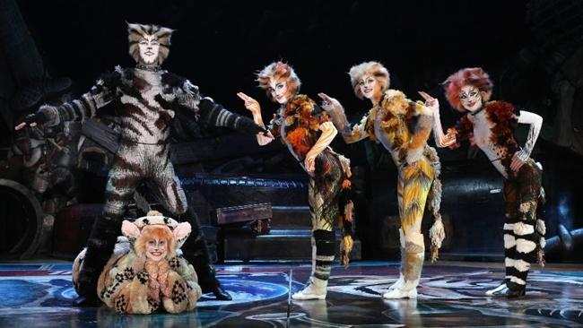 catsmusical2.jpg