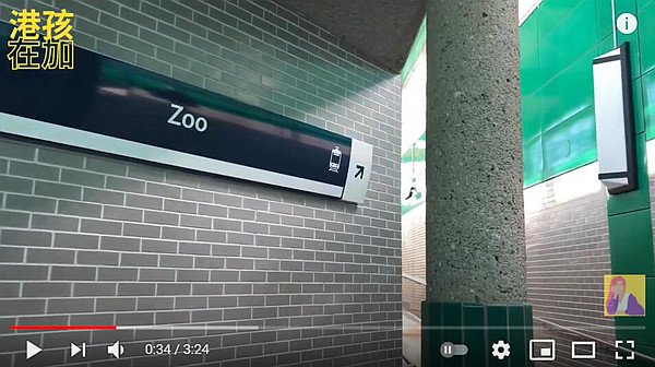 Vlog-zoo.jpg