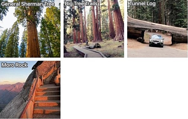 x5.jpg