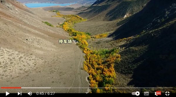 加州395公路赏秋攻略